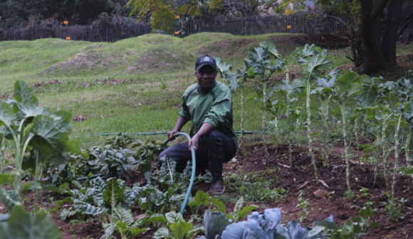 Sowing Seeds of Resilience